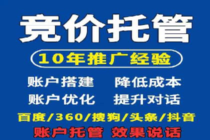 成功案例：sem竞价托管的智慧与策略